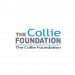 Collie Foundation support Arts Bus