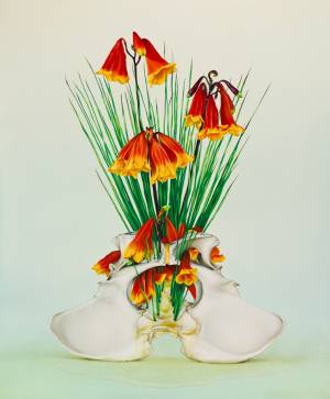 Lot 37 - Gina Kalabishis